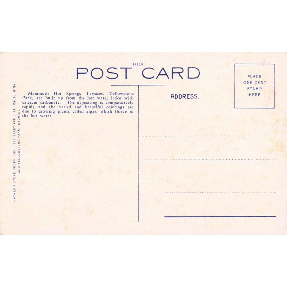 Vintage Yellowstone National Park Mammoth Hot Springs Terraces Haynes Postcard - Picture 2 of 2